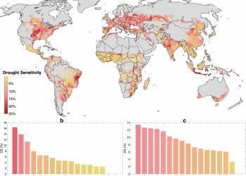 Studie brengt mondiale hotspots voor droogteschade aan gewassen in kaart