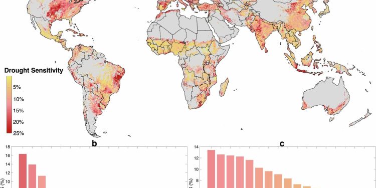 Studie brengt mondiale hotspots voor droogteschade aan gewassen in kaart