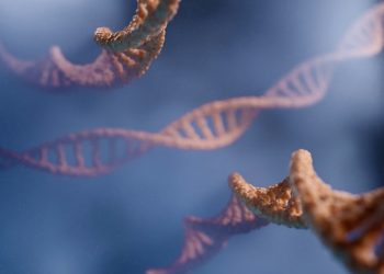 3D-dnakaart brengt nieuwe Crohn-genen in beeld