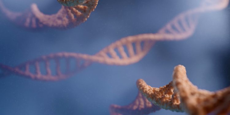 3D-dnakaart brengt nieuwe Crohn-genen in beeld