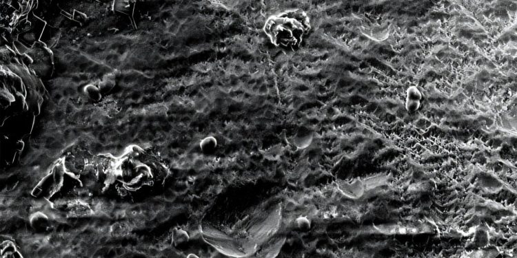 Gemodificeerde bacterie koppelt CO₂-opslag aan metaalwinning