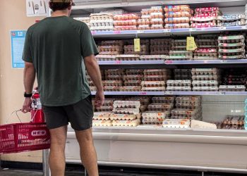 FDA geeft terugroepactie eieren hoogste risicoklasse