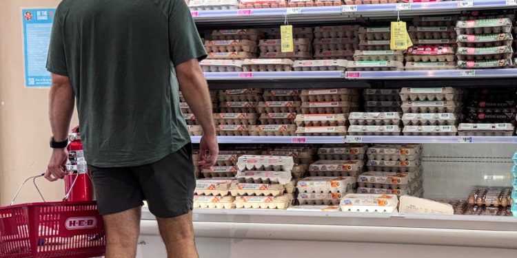 FDA geeft terugroepactie eieren hoogste risicoklasse